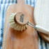 Brosse vaisselle bois