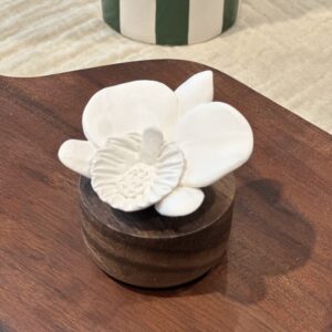 Orchidée - Blanc