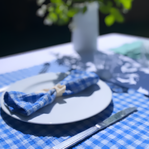 Set de table - Vichy Azur x2