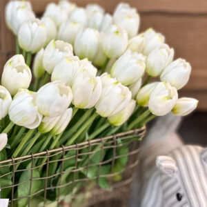 Botte Tulipe - Blanche