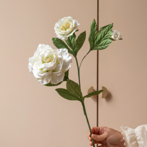 Rose blanche - Fleur papier