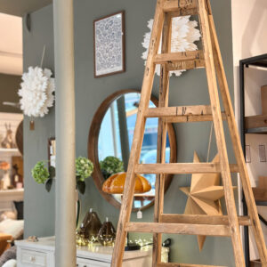 Echelle - Pièce Unique