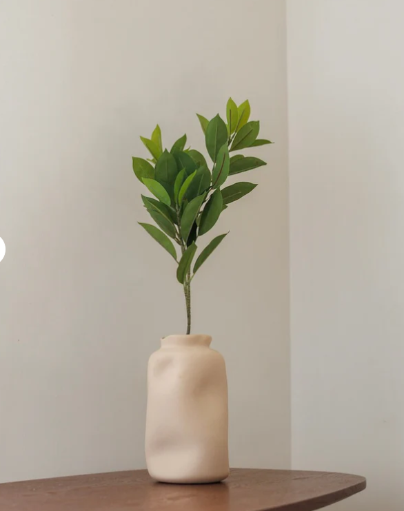 ruscus-artificiel