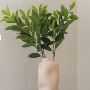 Ruscus - Fleur Artificielle