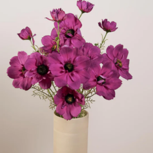 Cosmos - Tige Fushia