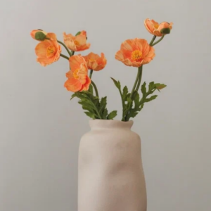 Tige Pavot - Orange